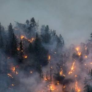 В РФ растет площадь лесных пожаров