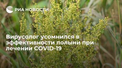 Вирусолог Алексей Аграновский усомнился в эффективности полыни при лечении COVID-19
