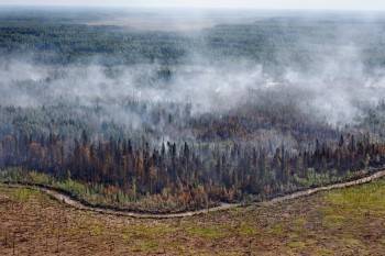 В Вологодской области зафиксировано 11 лесных пожаров