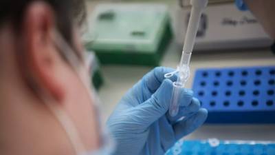 Вирусологи усомнились в эффективности лечения коронавируса полынью