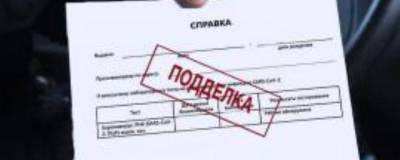 В Башкирии заведено свыше 30 уголовных дел о подделке ковид-документов