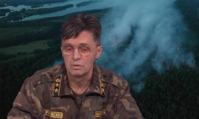 Министр природы Карелии обвинил арендаторов лесов в пожарах