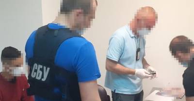 "Провозил внутри": СБУ задержала в "Борисполе" иностранных наркокурьеров с 2 кг кокаина (фото)