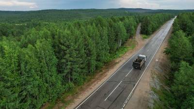 В Рослесхозе оценили целесообразность приватизации лесов в России