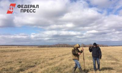 Борьба с опустыниванием территорий войдет в народную программу «Единой России»