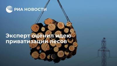 Эксперт Дмитрий Пурим: приватизацию леса можно допустить в отношении самых проблемных участков