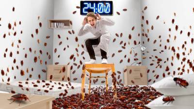 24 часа в комнате с 10 000 тараканов: Эксперименты - techno.bigmir.net