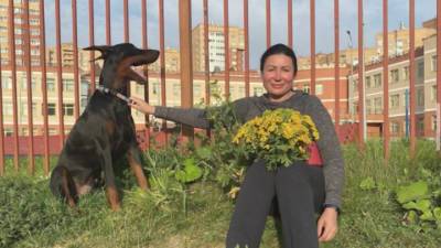 В Видном доберман растерзал несколько собак: теперь жители боятся за детей