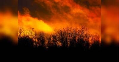 «Настала ера вогню»: європейські вчені про аномальну погоду та лісові пожежі по всьому світу - fakty.ua - США - Украина - штат Орегон - місто Лос-Анджелес