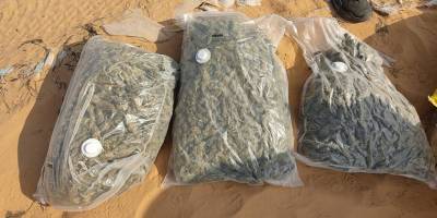 Полиция обнаружила плантации марихуаны на стрельбищах ЦАХАЛа
