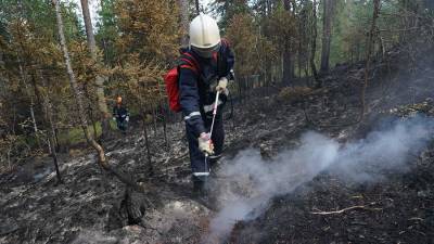 В МЧС назвали неблагоприятным прогноз развития природных пожаров в РФ