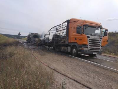Один человек погиб в столкновении трех грузовиков в Кстовском районе