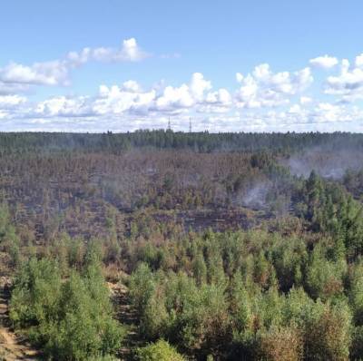 В Сертолово-2 двое суток тушат лесной пожар на площади 56 гектаров
