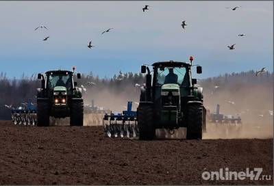 Сельхозпредприятия Ленинградской области приступили к уборке зерна