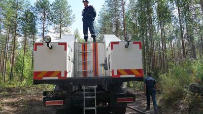 Путин предложил передать лесоохрану нескольких регионов на федеральный уровень