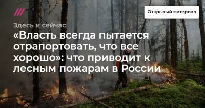 «Власть всегда пытается отрапортовать, что все хорошо»: что приводит к лесным пожарам в России