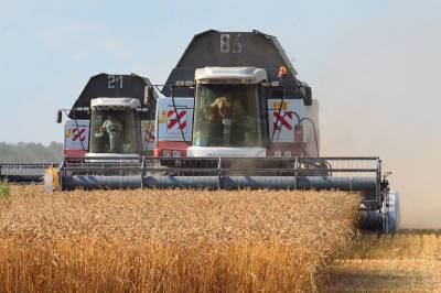 В Ростовской области убрали уже около 1,7 млн гектаров зерновых