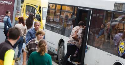 Автобусы-душегубки: 5 вопросов о кондиционерах в калининградском транспорте