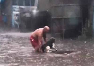 "Герой нашего времени": журналисты нашли мужчину, спасшего пса во время ливня в Киеве