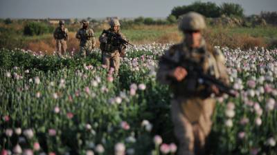 Наркотическая Республика Афганистан: политика международных сил в борьбе с правительством наркотиков