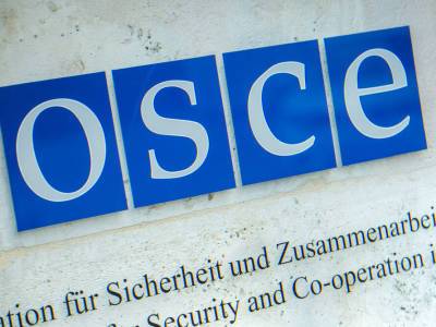 В ОБСЕ обеспокоены информацией о применении программного обеспечения для слежки за журналистами - gordonua.com - Украина - Израиль