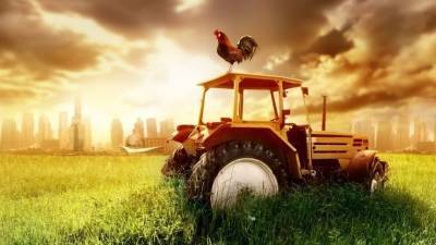 В народную программу «Единой России» предложено включить аграрную политику
