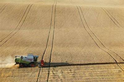 Бюджет РФ получил от повышения пошлин на зерно 15,4 млрд рублей