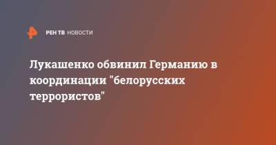 Лукашенко обвинил Германию в координации "белорусских террористов"