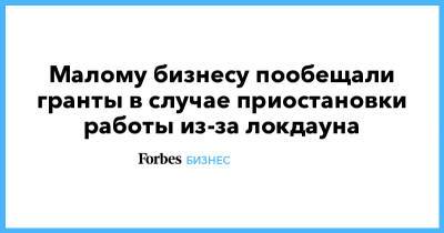 Малому бизнесу пообещали гранты в случае приостановки работы из-за локдауна - forbes.ru