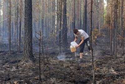 Карелия получит 100 млн рублей на борьбу с пожарами