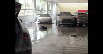 Наводнение полностью уничтожило автосалон Audi в Германии (видео)