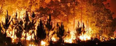 У канадских огнеборцев с лесными пожарами украли оборудование