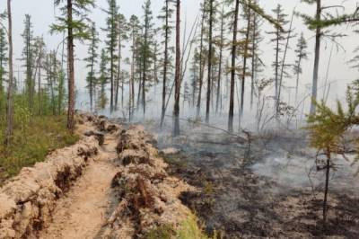 В РФ за сутки ликвидировали 103 природных пожара