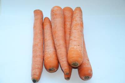 Оренбургские дачники жалуются на морковку