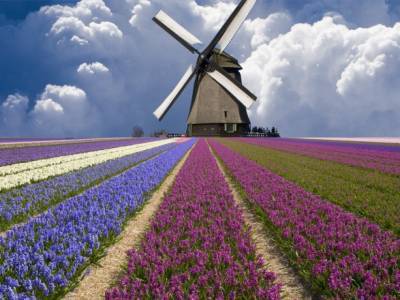 Украинцы отныне могут путешествовать в Нидерланды без ограничений