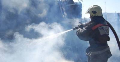 Забайкальским пожарным повысят зарплату после их обращения к Путину