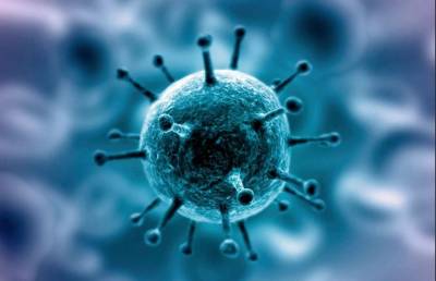 Экстракт полыни признали эффективным в борьбе с коронавирусом
