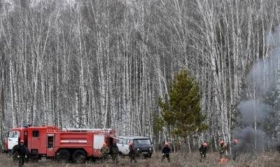 Девять лесных пожаров на территории 94 тыс. га потушили в Якутии