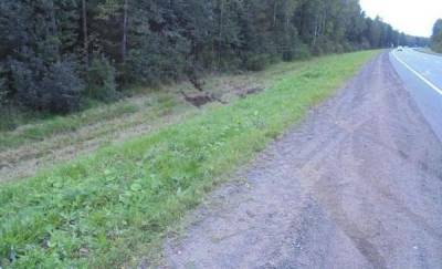 На Ямале в кювете нашли тело убитого мужчины