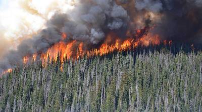 В Канаде более 3 тыс. человек покинули свои дома из-за лесных пожаров