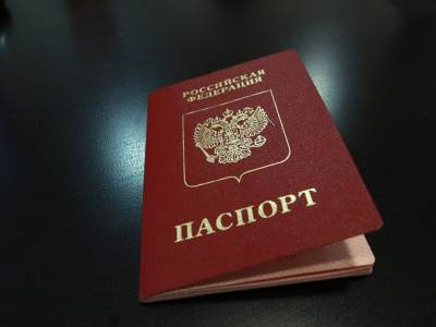 В России отметки в паспорте о браке и детях будут ставить по желанию