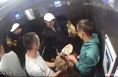 В Екатеринбурге к девушке пристала компания с отрубленными головами животных