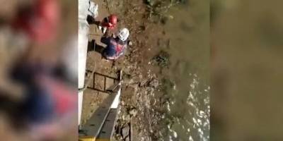 В Новосибирске 12-летнюю девочку снесло течением на набережной Оби