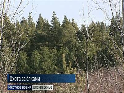 В Ростовской области продлили режим ограничения пребывания в лесах