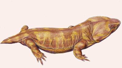 В США нашли микрозавра возрастом более 300 млн лет