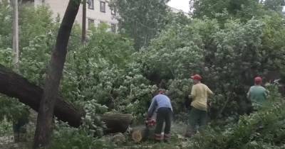 Непогода в Украине: погибли два человека, еще семеро травмированы (видео)