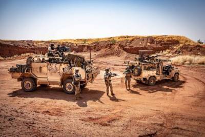 Эстонский спецназ хочет получить право действовать не только в Мали, но и в Нигере