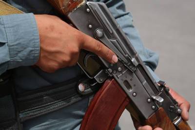 МИД заявил об активности афганских террористов у границы Таджикистана