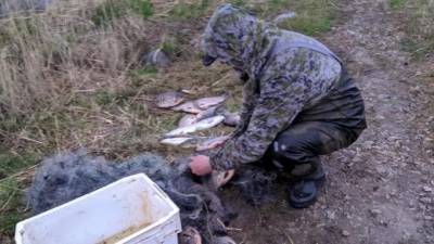 Рыбак пойдёт под суд за незаконную ловлю в заказнике Ленобласти