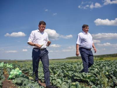 Куйвашев ввел в Свердловской области режим ЧС из-за засухи и гибели урожая